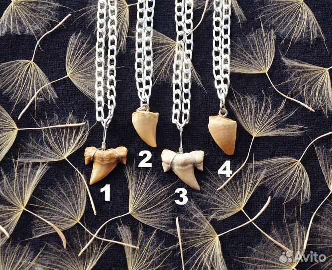 Кулоны с окаменелостями