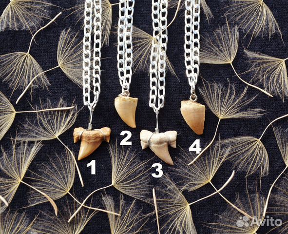 Кулоны с окаменелостями