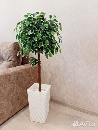 Искусственное дерево/фикус