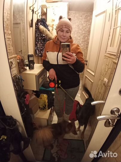 Выгул собак и передержка животных