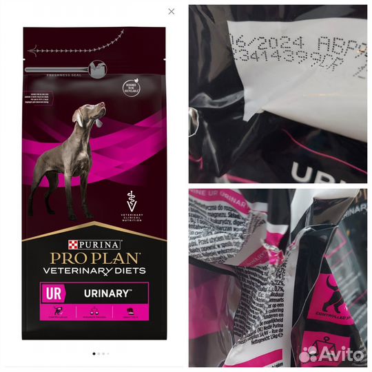 Корм для собак