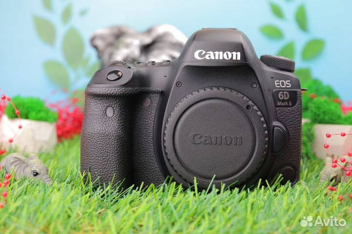 Canon EOS 6D Mark II Body ID283