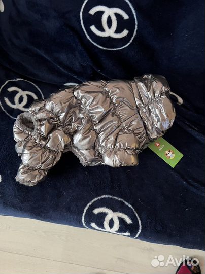 Зимний комбинезон новый для маленьких собак