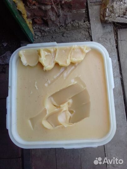 Свежий мёд с Алтая оптом 2023