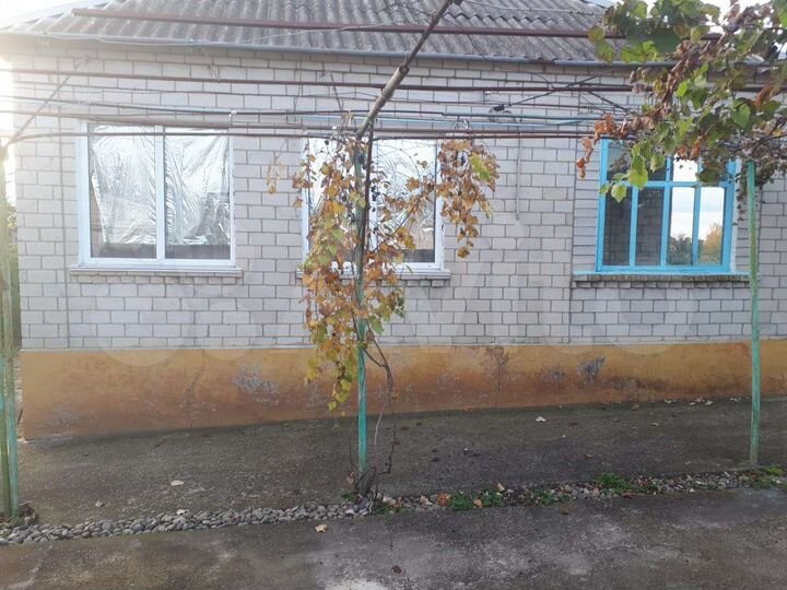 Дом 55 м² на участке 23 сот.