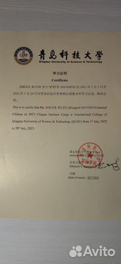 Репетитор по китайскому языку