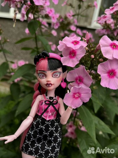 Monster high G3 ooak Дракулаура