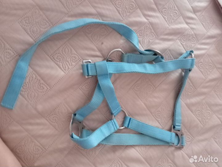 Недоуздок для полупони