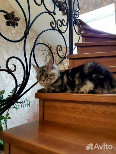 Изготовление лестниц