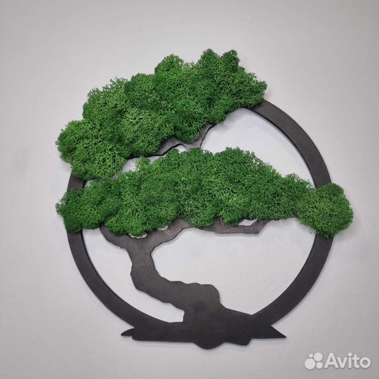 Панно из стабилизированного мха