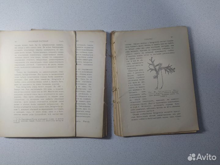 Антикварная Дореволюционная книга 1914 года