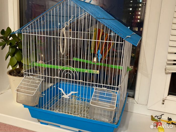Клетка