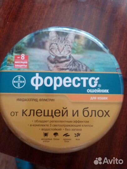 Ош форессто