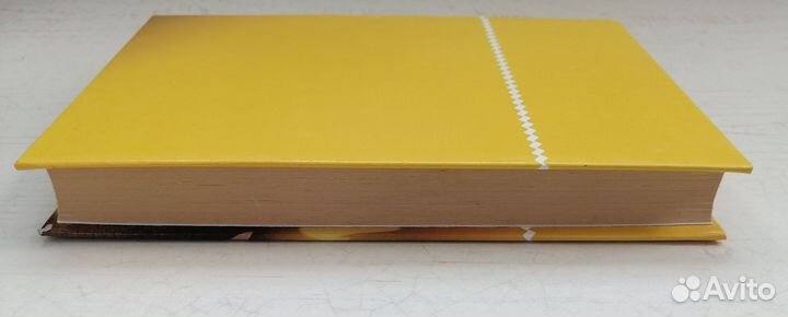 Книга: Сонник Ванги 