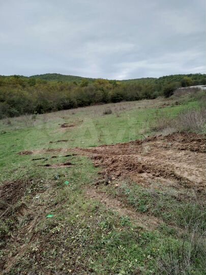 Участок 5,5 сот. (ИЖС)