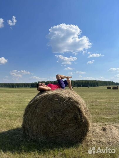 Сено, салома