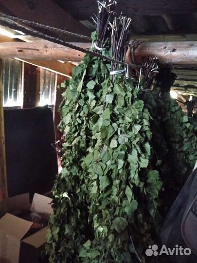 Березовые веники