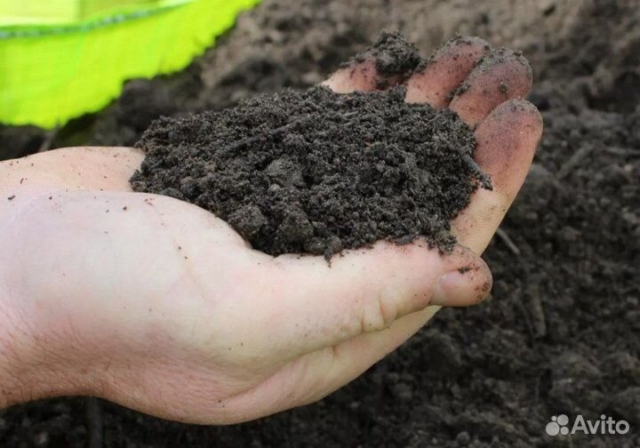 Земля в огород