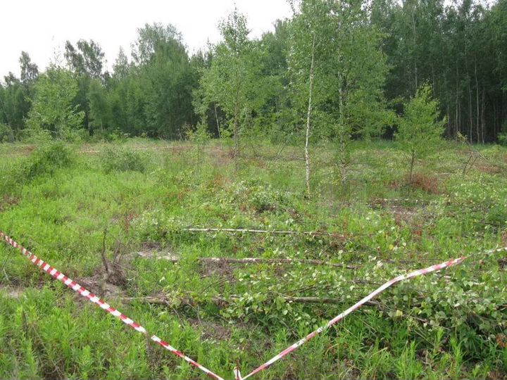 Участок 18 сот. (ИЖС)