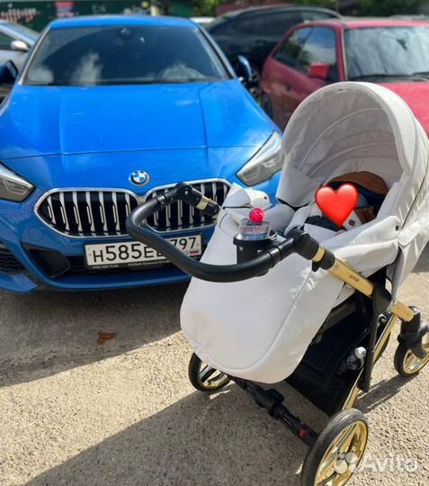 Коляска 2 в 1 adamex chantal