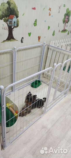 Гостиница для животных