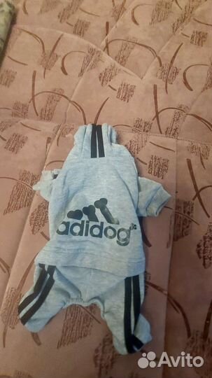 Одежда для маленьких собак бу