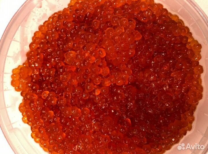 Красная икра 2023 Разбористая Опт