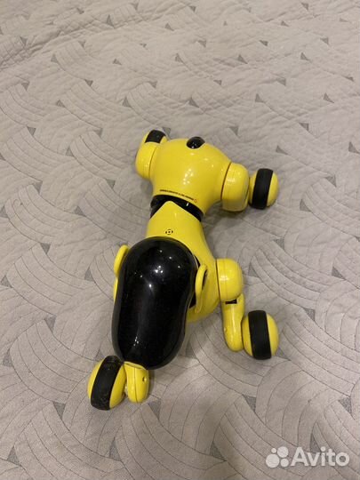 Интерактивная собака Дружок