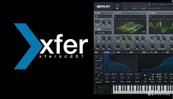 Xfer records - Serum