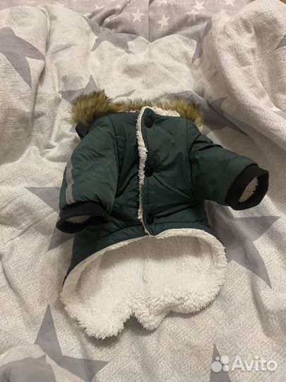 Продам курточку доя собачки