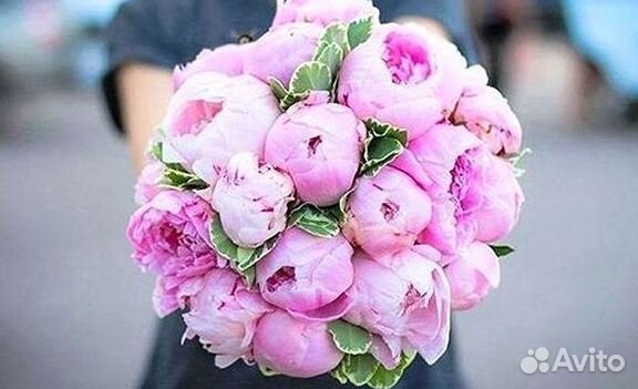 Пионы Букет