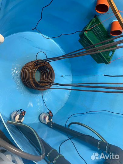 Строим системы узв для разведения рыбы