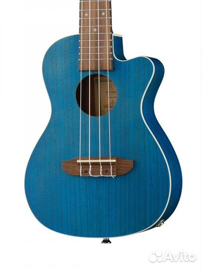 Укулеле концертный Ortega ruocean-CE Earth Series