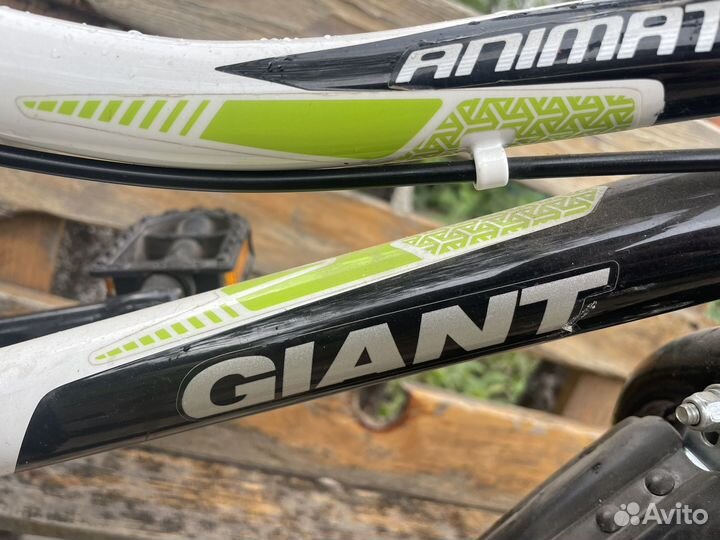 Велосипед детский Giant Animator 12