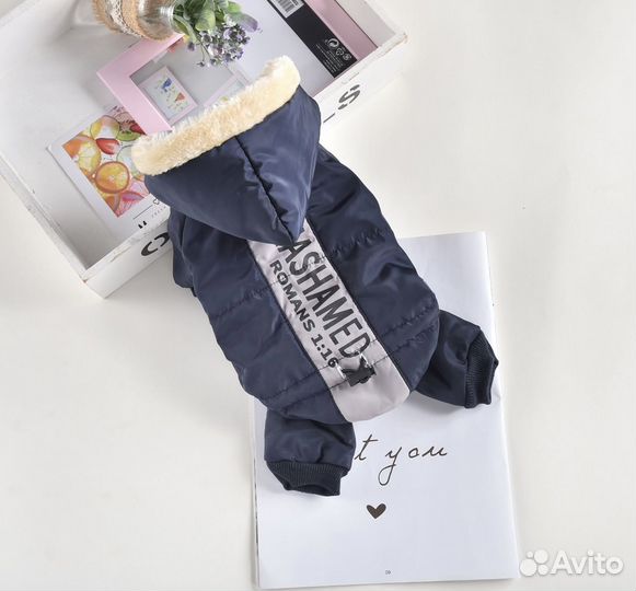 Одежда для собаки