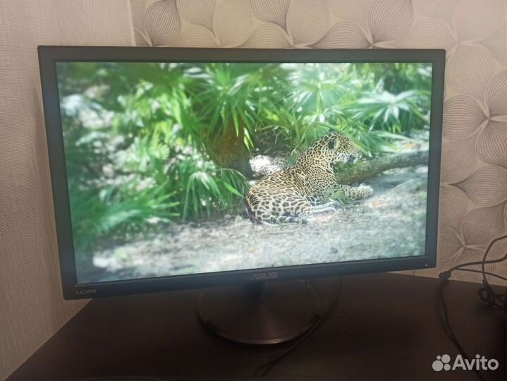 Монитор asus 24