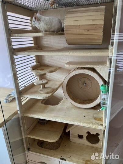 Витрина для шиншилл шиншилла клетка