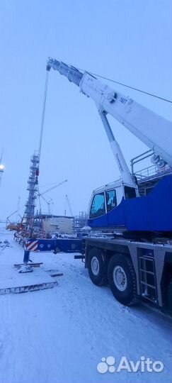 Аренда и услуги автокрана, 160 т, 60 м, с гуськом 30 м