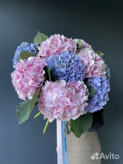 Гортензии Букет гортензий