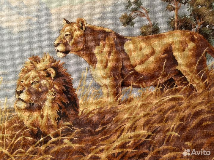 Картина, вышитая крестом Африканские львы