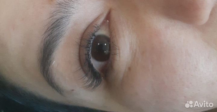 Лешмейкер бровист