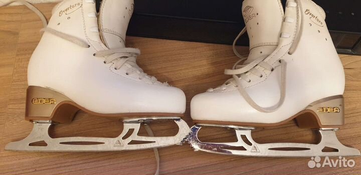 Фигурные коньки edea 205 с лезвиями legacy 7