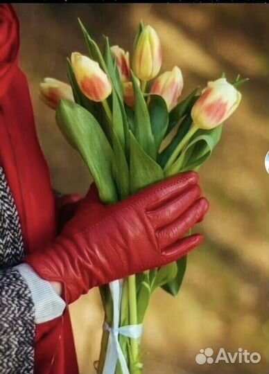 Репетитор по математике. огэ, егэ, впр