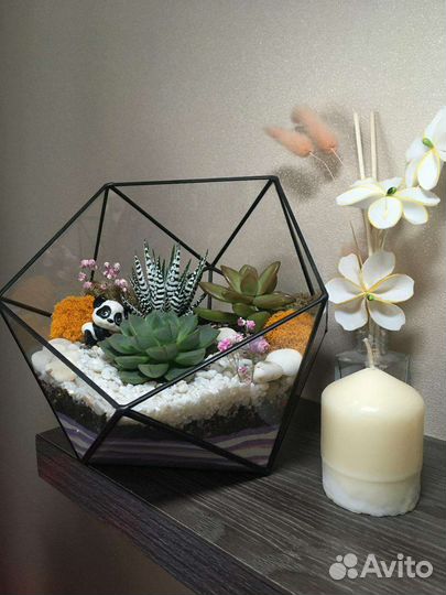Флорариум подарок на новый год