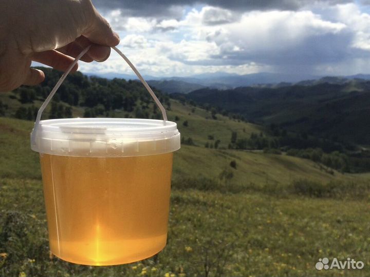 Мёд оптом домашний