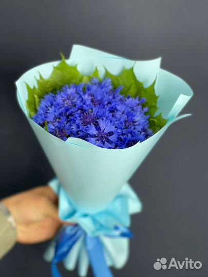 Васильки цветы