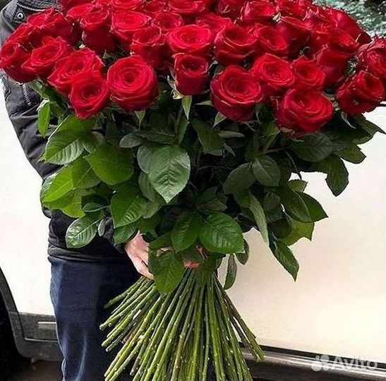 Высокие розы Гигантские розы Доставка цветов