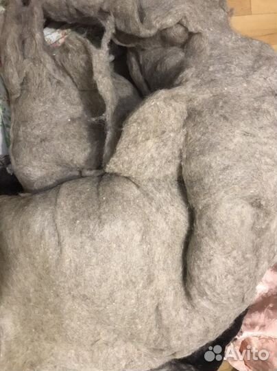 Шерсть овечья немытая