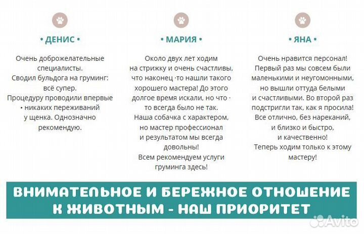 Груминг в Приморском районе СПб. Экспресс-линька