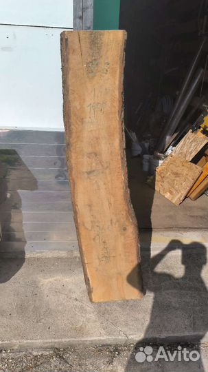 Слэб из дуба